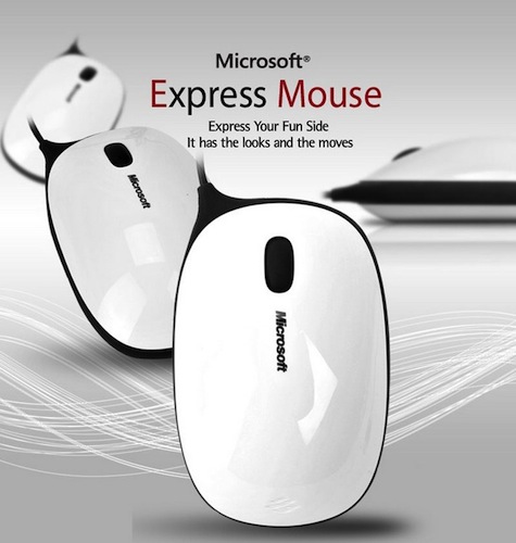 Microsoft Express Mouse 1